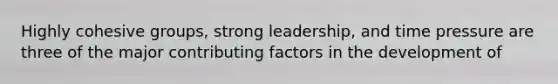 Highly cohesive groups, strong leadership, and time pressure are three of the major contributing factors in the development of