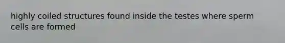 highly coiled structures found inside the testes where sperm cells are formed