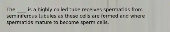 The ____ is a highly coiled tube receives spermatids from seminiferous tubules as these cells are formed and where spermatids mature to become sperm cells.