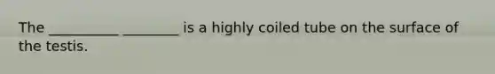 The __________ ________ is a highly coiled tube on the surface of the testis.