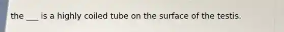the ___ is a highly coiled tube on the surface of the testis.