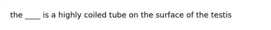the ____ is a highly coiled tube on the surface of the testis