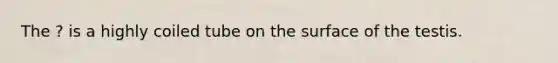The ? is a highly coiled tube on the surface of the testis.