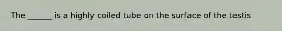 The ______ is a highly coiled tube on the surface of the testis