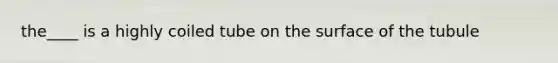 the____ is a highly coiled tube on the surface of the tubule