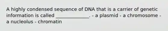 A highly condensed sequence of DNA that is a carrier of genetic information is called ______________. - a plasmid - a chromosome - a nucleolus - chromatin