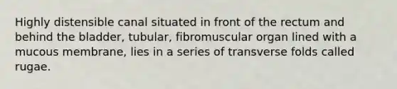 Highly distensible canal situated in front of the rectum and behind the bladder, tubular, fibromuscular organ lined with a mucous membrane, lies in a series of transverse folds called rugae.