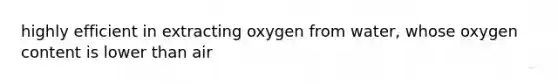 highly efficient in extracting oxygen from water, whose oxygen content is lower than air