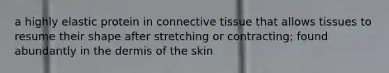 a highly elastic protein in connective tissue that allows tissues to resume their shape after stretching or contracting; found abundantly in the dermis of the skin