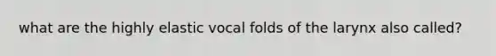 what are the highly elastic vocal folds of the larynx also called?