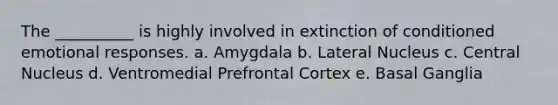 The __________ is highly involved in extinction of conditioned emotional responses. a. Amygdala b. Lateral Nucleus c. Central Nucleus d. Ventromedial Prefrontal Cortex e. Basal Ganglia