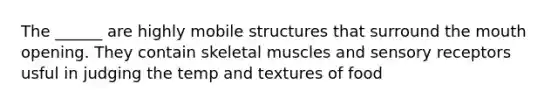 The ______ are highly mobile structures that surround the mouth opening. They contain skeletal muscles and sensory receptors usful in judging the temp and textures of food