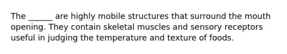 The ______ are highly mobile structures that surround the mouth opening. They contain skeletal muscles and sensory receptors useful in judging the temperature and texture of foods.