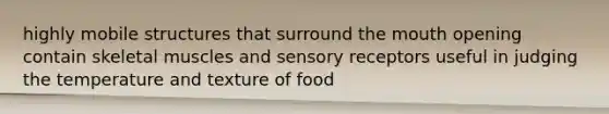 highly mobile structures that surround the mouth opening contain skeletal muscles and sensory receptors useful in judging the temperature and texture of food