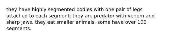 they have highly segmented bodies with one pair of legs attached to each segment. they are predator with venom and sharp jaws. they eat smaller animals. some have over 100 segments.