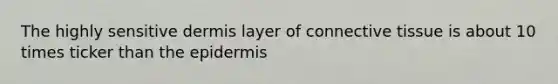 The highly sensitive dermis layer of connective tissue is about 10 times ticker than the epidermis