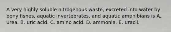 A very highly soluble nitrogenous waste, excreted into water by bony fishes, aquatic invertebrates, and aquatic amphibians is A. urea. B. uric acid. C. amino acid. D. ammonia. E. uracil.