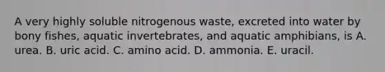 A very highly soluble nitrogenous waste, excreted into water by bony fishes, aquatic invertebrates, and aquatic amphibians, is A. urea. B. uric acid. C. amino acid. D. ammonia. E. uracil.