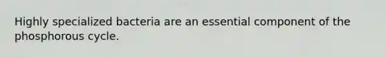 Highly specialized bacteria are an essential component of the phosphorous cycle.