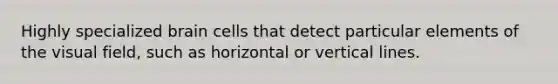 Highly specialized brain cells that detect particular elements of the visual field, such as horizontal or vertical lines.