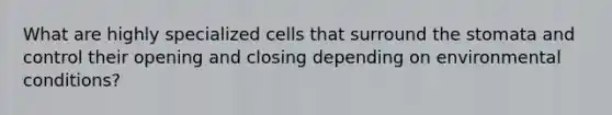 What are highly specialized cells that surround the stomata and control their opening and closing depending on environmental conditions?