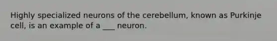 Highly specialized neurons of the cerebellum, known as Purkinje cell, is an example of a ___ neuron.