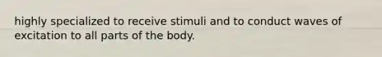 highly specialized to receive stimuli and to conduct waves of excitation to all parts of the body.