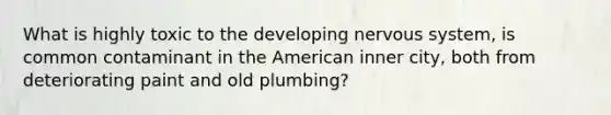 What is highly toxic to the developing nervous system, is common contaminant in the American inner city, both from deteriorating paint and old plumbing?