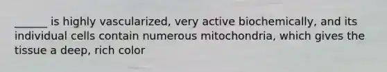 ______ is highly vascularized, very active biochemically, and its individual cells contain numerous mitochondria, which gives the tissue a deep, rich color