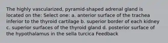 The highly vascularized, pyramid-shaped adrenal gland is located on the: Select one: a. anterior surface of the trachea inferior to the thyroid cartilage b. superior border of each kidney c. superior surfaces of the thyroid gland d. posterior surface of the hypothalamus in the sella turcica Feedback