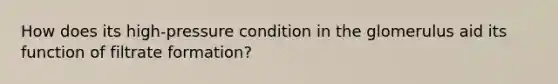 How does its high-pressure condition in the glomerulus aid its function of filtrate formation?