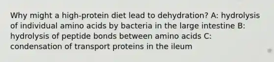 Why might a high-protein diet lead to dehydration? A: hydrolysis of individual amino acids by bacteria in the large intestine B: hydrolysis of peptide bonds between amino acids C: condensation of transport proteins in the ileum