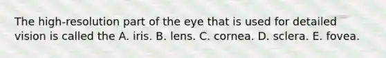 The high-resolution part of the eye that is used for detailed vision is called the A. iris. B. lens. C. cornea. D. sclera. E. fovea.