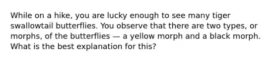 While on a hike, you are lucky enough to see many tiger swallowtail butterflies. You observe that there are two types, or morphs, of the butterflies — a yellow morph and a black morph. What is the best explanation for this?