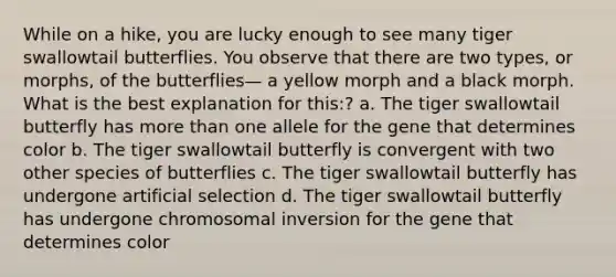 While on a hike, you are lucky enough to see many tiger swallowtail butterflies. You observe that there are two types, or morphs, of the butterflies— a yellow morph and a black morph. What is the best explanation for this:? a. The tiger swallowtail butterfly has more than one allele for the gene that determines color b. The tiger swallowtail butterfly is convergent with two other species of butterflies c. The tiger swallowtail butterfly has undergone artificial selection d. The tiger swallowtail butterfly has undergone chromosomal inversion for the gene that determines color