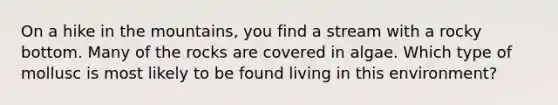 On a hike in the mountains, you find a stream with a rocky bottom. Many of the rocks are covered in algae. Which type of mollusc is most likely to be found living in this environment?