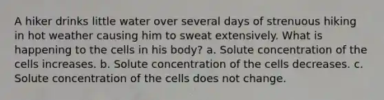 A hiker drinks little water over several days of strenuous hiking in hot weather causing him to sweat extensively. What is happening to the cells in his body? a. Solute concentration of the cells increases. b. Solute concentration of the cells decreases. c. Solute concentration of the cells does not change.