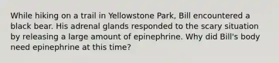 While hiking on a trail in Yellowstone Park, Bill encountered a black bear. His adrenal glands responded to the scary situation by releasing a large amount of epinephrine. Why did Bill's body need epinephrine at this time?