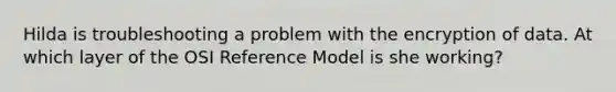 Hilda is troubleshooting a problem with the encryption of data. At which layer of the OSI Reference Model is she working?