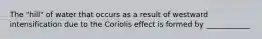 The "hill" of water that occurs as a result of westward intensification due to the Coriolis effect is formed by ____________