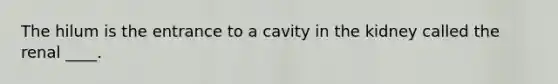 ​The hilum is the entrance to a cavity in the kidney called the renal ____.