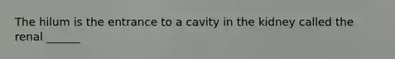 The hilum is the entrance to a cavity in the kidney called the renal ______