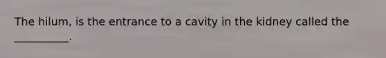 The hilum, is the entrance to a cavity in the kidney called the __________.