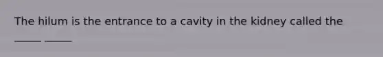 The hilum is the entrance to a cavity in the kidney called the _____ _____