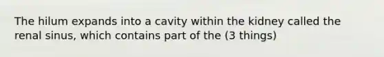 The hilum expands into a cavity within the kidney called the renal sinus, which contains part of the (3 things)