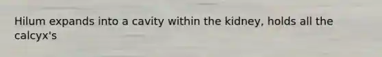 Hilum expands into a cavity within the kidney, holds all the calcyx's