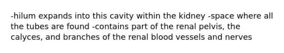 -hilum expands into this cavity within the kidney -space where all the tubes are found -contains part of the renal pelvis, the calyces, and branches of the renal blood vessels and nerves