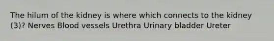 The hilum of the kidney is where which connects to the kidney (3)? Nerves <a href='https://www.questionai.com/knowledge/kZJ3mNKN7P-blood-vessels' class='anchor-knowledge'>blood vessels</a> Urethra <a href='https://www.questionai.com/knowledge/kb9SdfFdD9-urinary-bladder' class='anchor-knowledge'>urinary bladder</a> Ureter