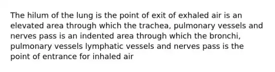 The hilum of the lung is the point of exit of exhaled air is an elevated area through which the trachea, pulmonary vessels and nerves pass is an indented area through which the bronchi, pulmonary vessels lymphatic vessels and nerves pass is the point of entrance for inhaled air ​