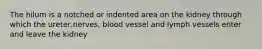 The hilum is a notched or indented area on the kidney through which the ureter,nerves, blood vessel and lymph vessels enter and leave the kidney